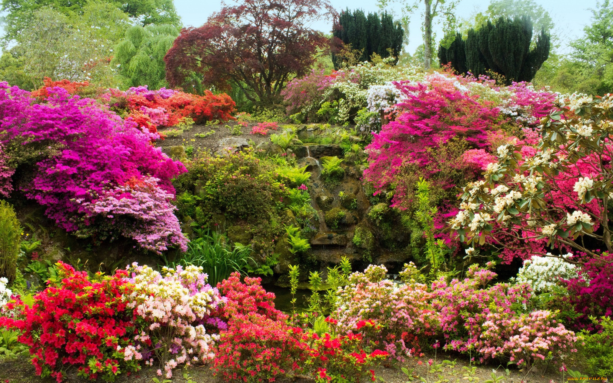 , , , bodnant, gardens, wales, , , , , , , 